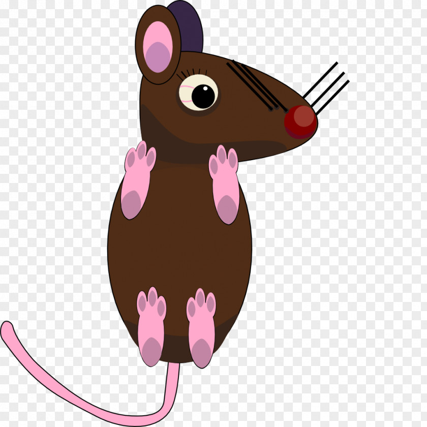 Mouse Whiskers Snout Clip Art PNG