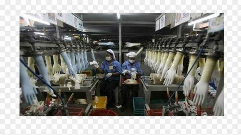 Natural Rubber Glove Factory Production PNG