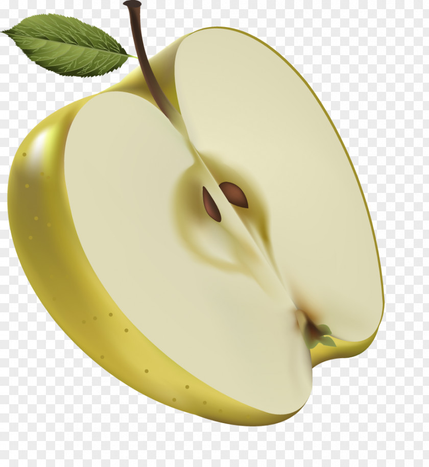 Vector Apple Fruit Clip Art PNG