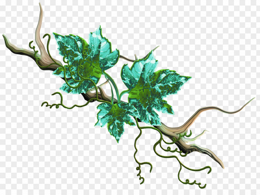 Vine Branches Leaf Plant Stem Branching Legendary Creature PNG