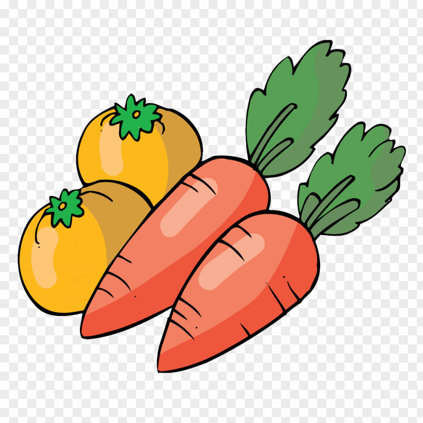 Denied Vegetable Carrot Fruit Image Vector Graphics PNG