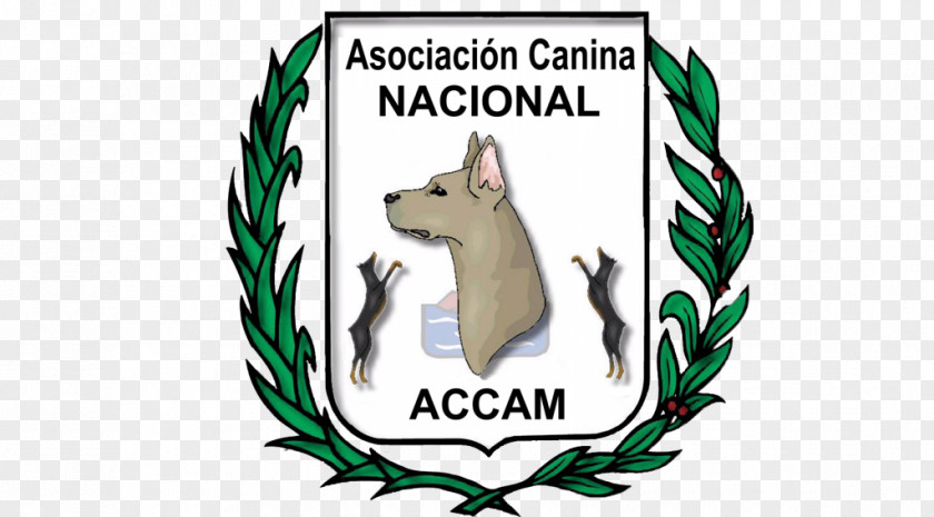 Dog Asociacion Canina Nacional ACCAM Canidae Purebred Molina De Segura PNG