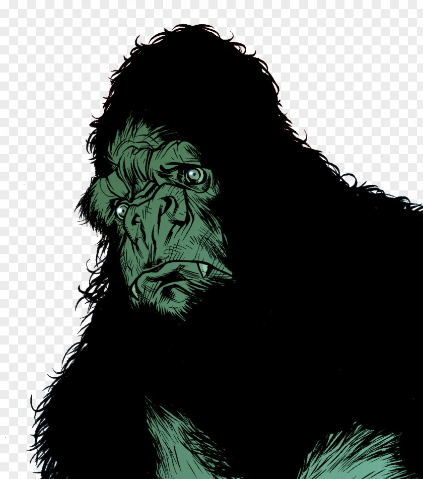 Gorilla Common Chimpanzee Homo Sapiens Facial Hair PNG