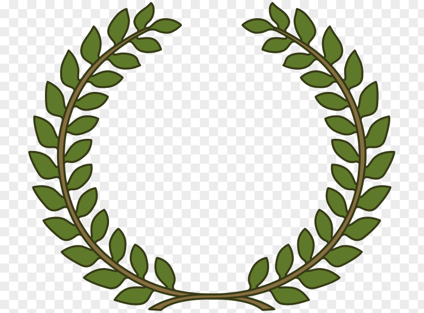 Leaf Bay Laurel Wreath Olive Clip Art PNG