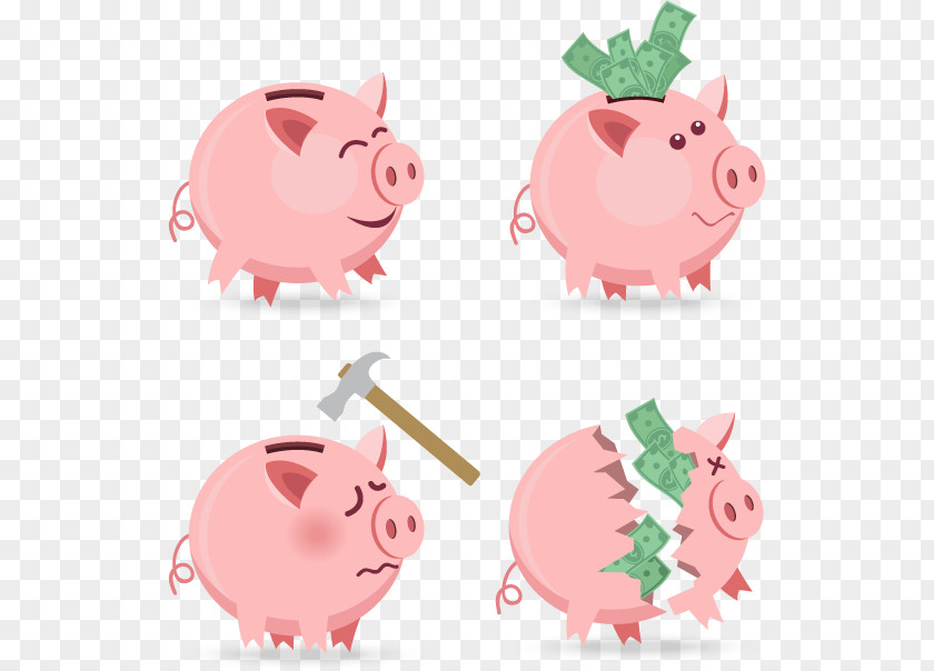 Pink Piggy Bank Domestic Pig Money PNG