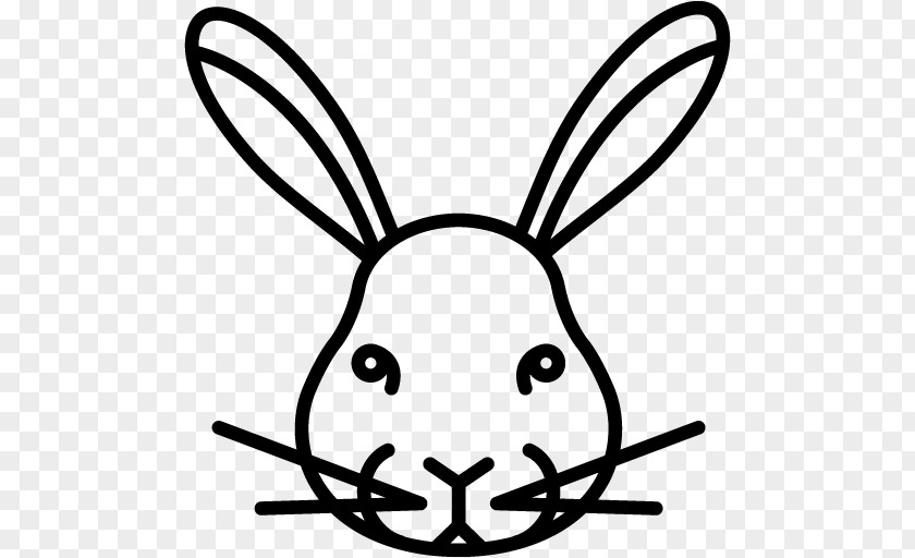 Rabbit Cruelty-free PNG
