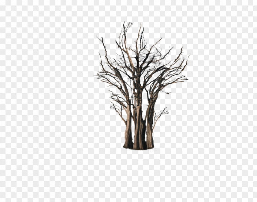 Floating Tree Trunk Root Branch PNG