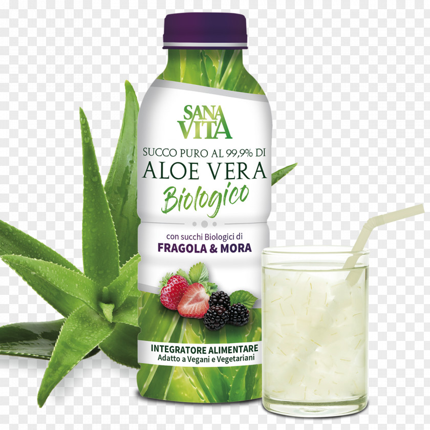 Juice Dietary Supplement Aloe Vera Acid Gras Omega-3 Plants PNG