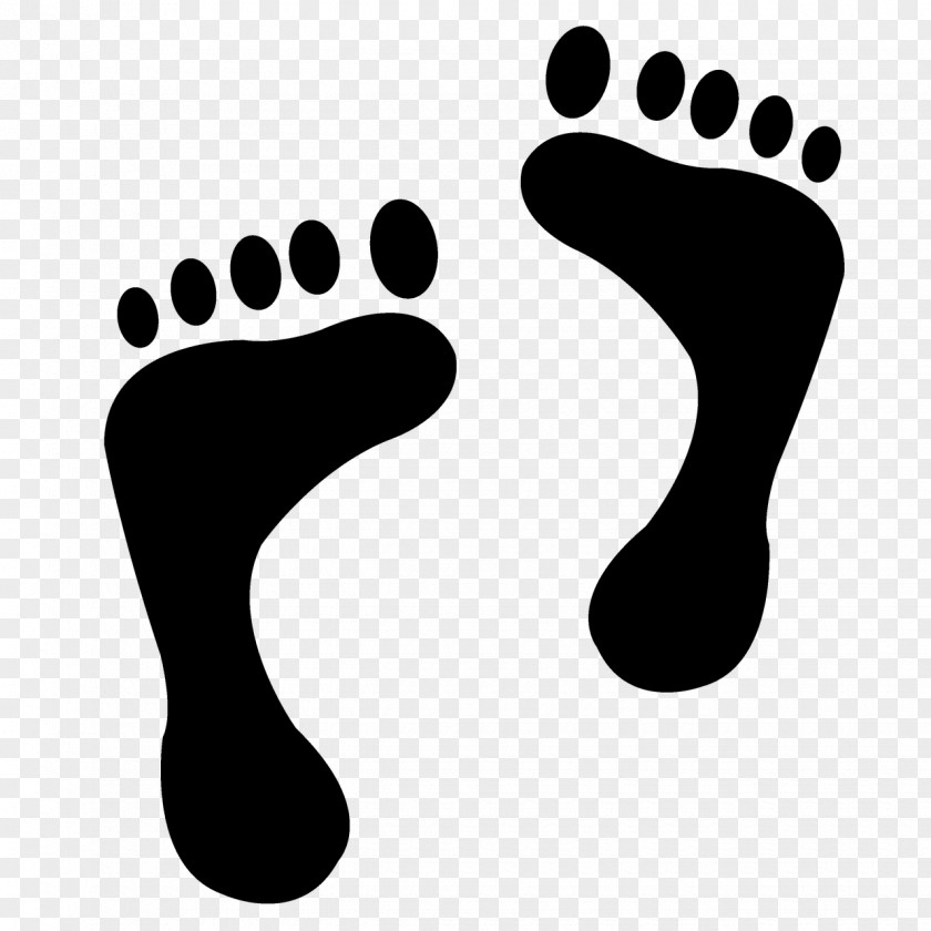 Logo Paw Footprint PNG