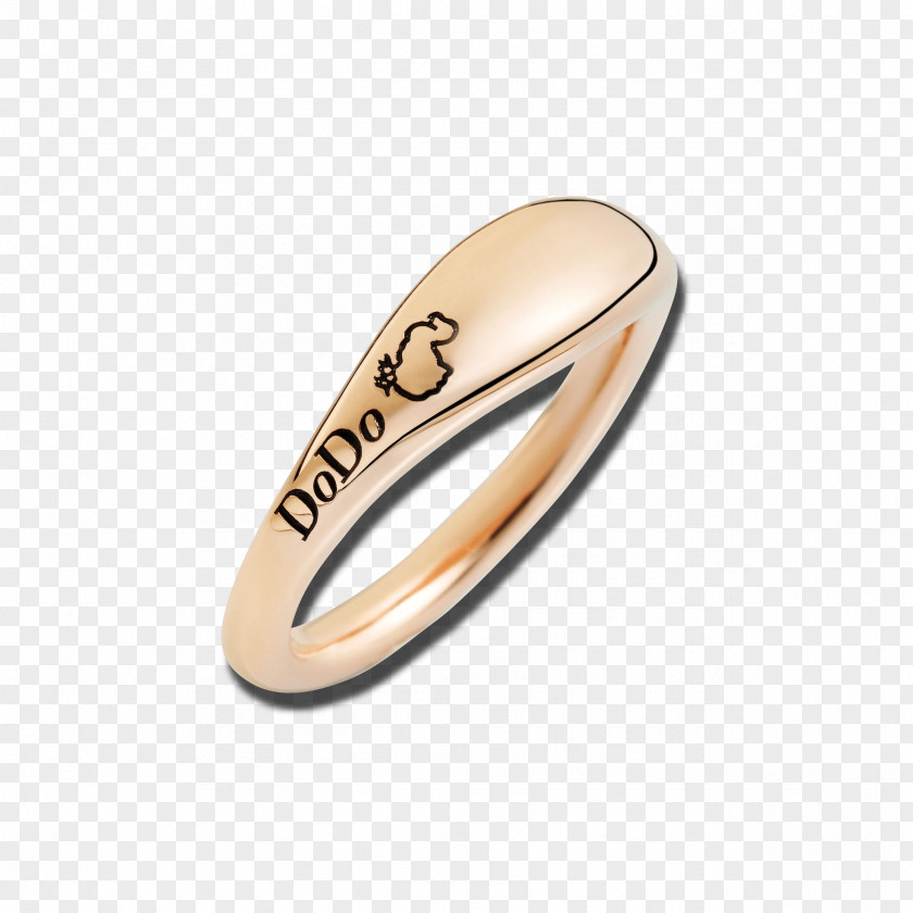 Couple Rings Pre-engagement Ring Product Design Wedding Silver PNG