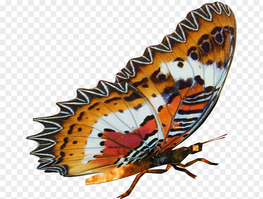 Wing Argynnis Painting Brush PNG