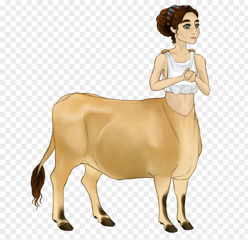 Centaur Dairy Cattle Centaurides Horse PNG