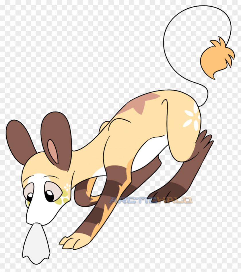 Cleaning Up Kangaroo Macropods Hare Clip Art Mammal PNG