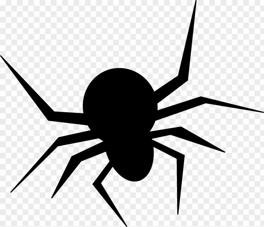 Halloween Spin Class Scary Spiders Clip Art Image PNG