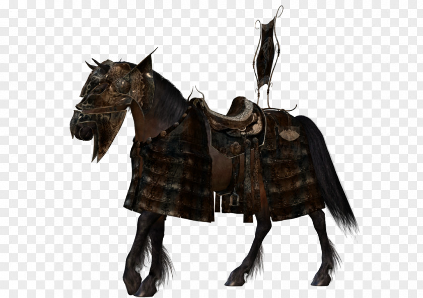 Knight Horse Arabian American Paint Horses In Warfare Rein PNG
