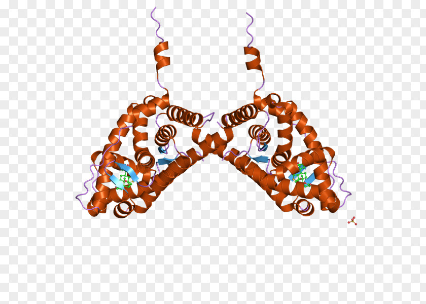 Mineralocorticoid Receptor Glucocorticoid Earring PNG