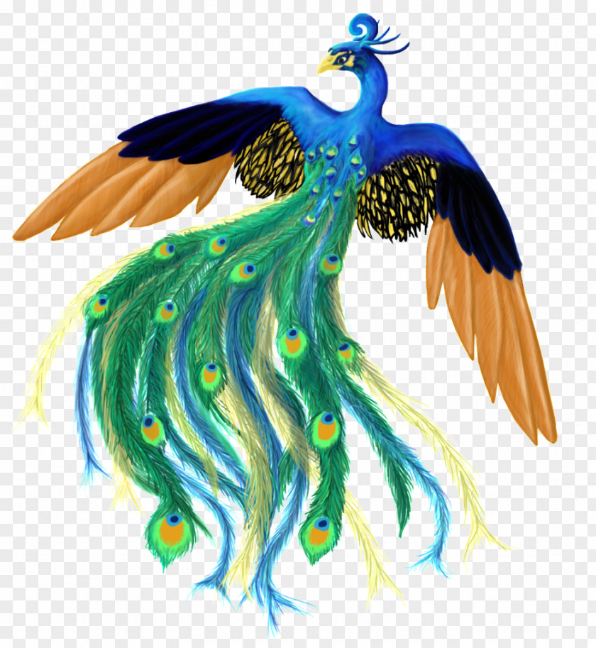 Peacock Feather Bird Peafowl Clip Art PNG