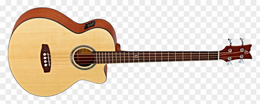 Amancio Ortega Twelve-string Guitar Acoustic-electric Fender Musical Instruments Corporation Cutaway PNG