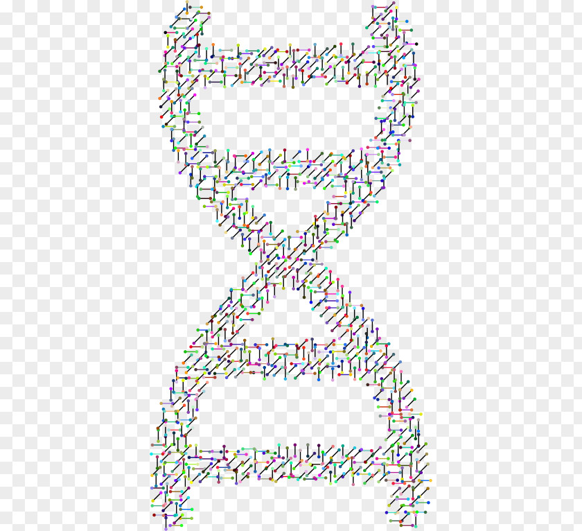Dna Core Molecular Biology Molecule Clip Art PNG