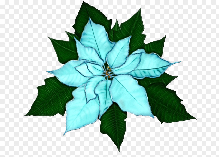 Flower Leaf Plant Structure Plants Biology PNG