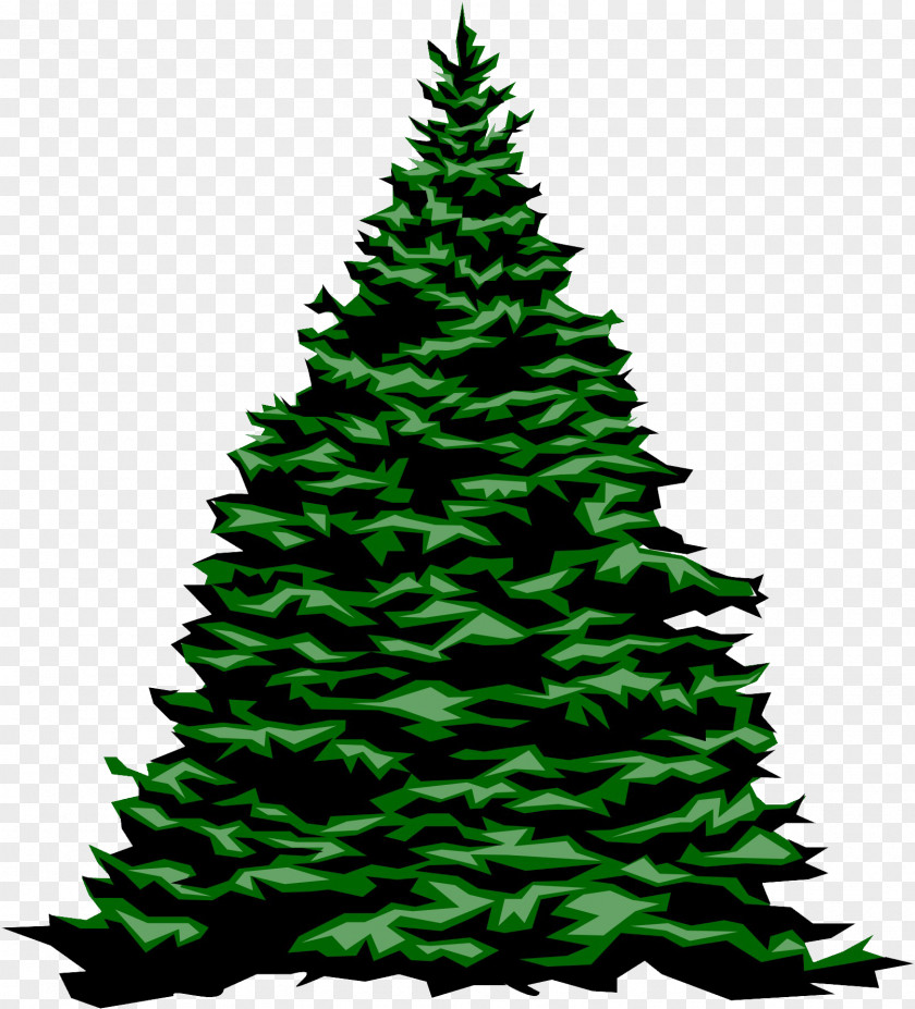 Larch Christmas Tree Fir Evergreen PNG