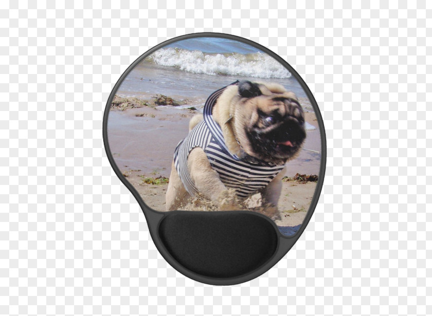 Pug Watercolor Dog Breed Toy Snout PNG