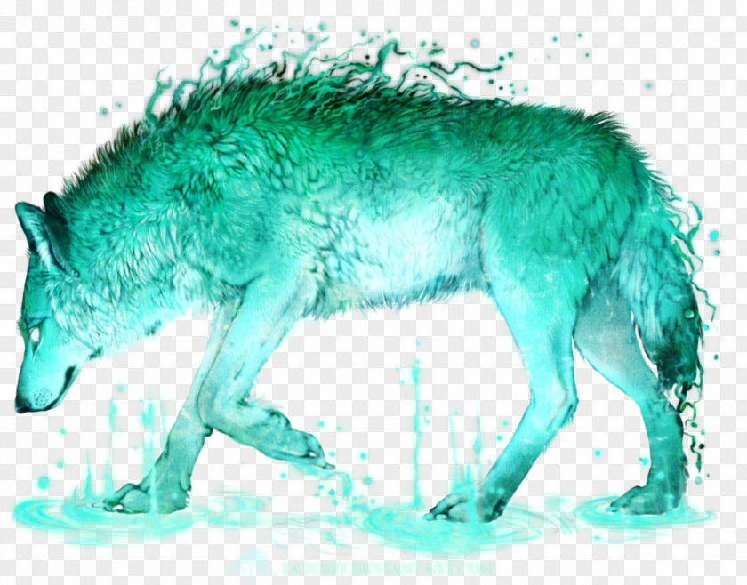 Coyote Gray Wolf Turquoise Snout Fauna PNG
