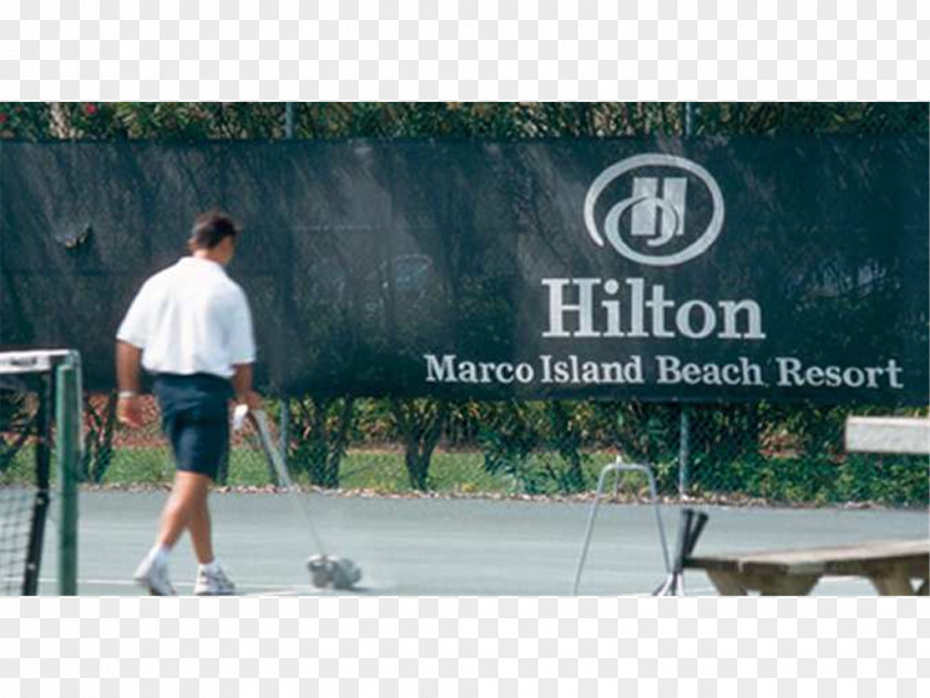 Hilton Hotels Resorts Hobby Leisure Vehicle Brand Tree PNG