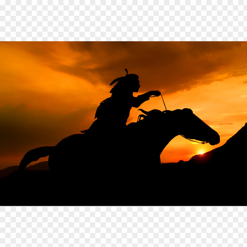 Horse Ivins Mojave Desert Equestrian Silhouette PNG