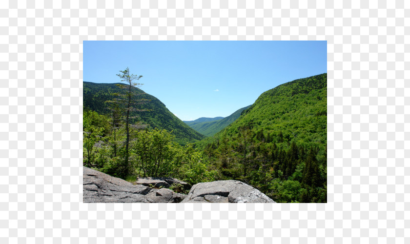 Park Crawford Notch Campground Mountain Pass New Hampshire Division Of Parks And Recreation State PNG