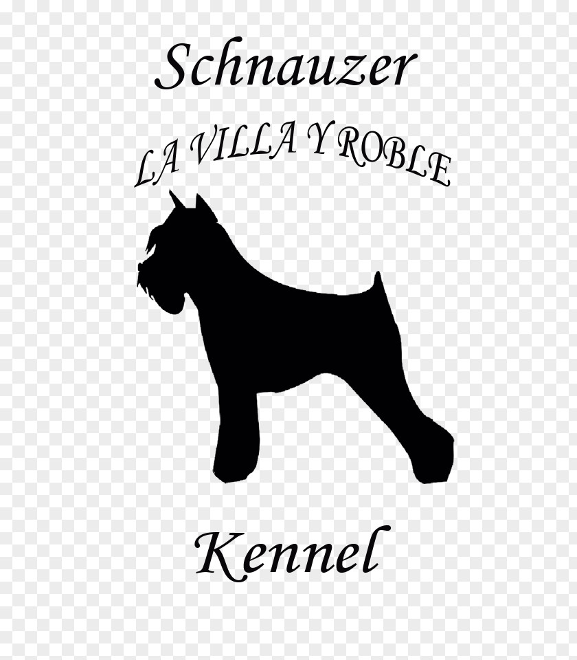 Schnauzer Miniature Dog Breed Bichon Frise Airedale Terrier PNG