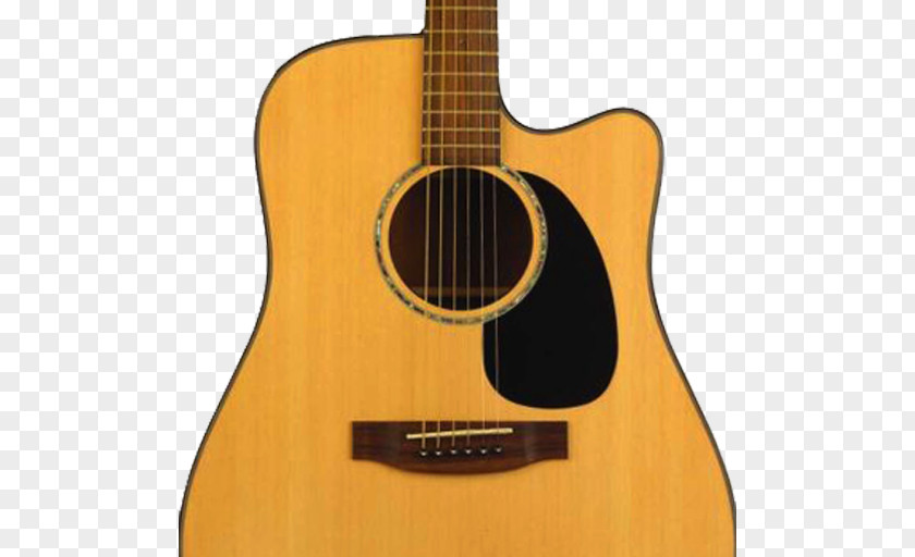 Solitaire Bird In Rodrigues Taylor Guitars Acoustic-electric Guitar Takamine Dreadnought Acoustic PNG