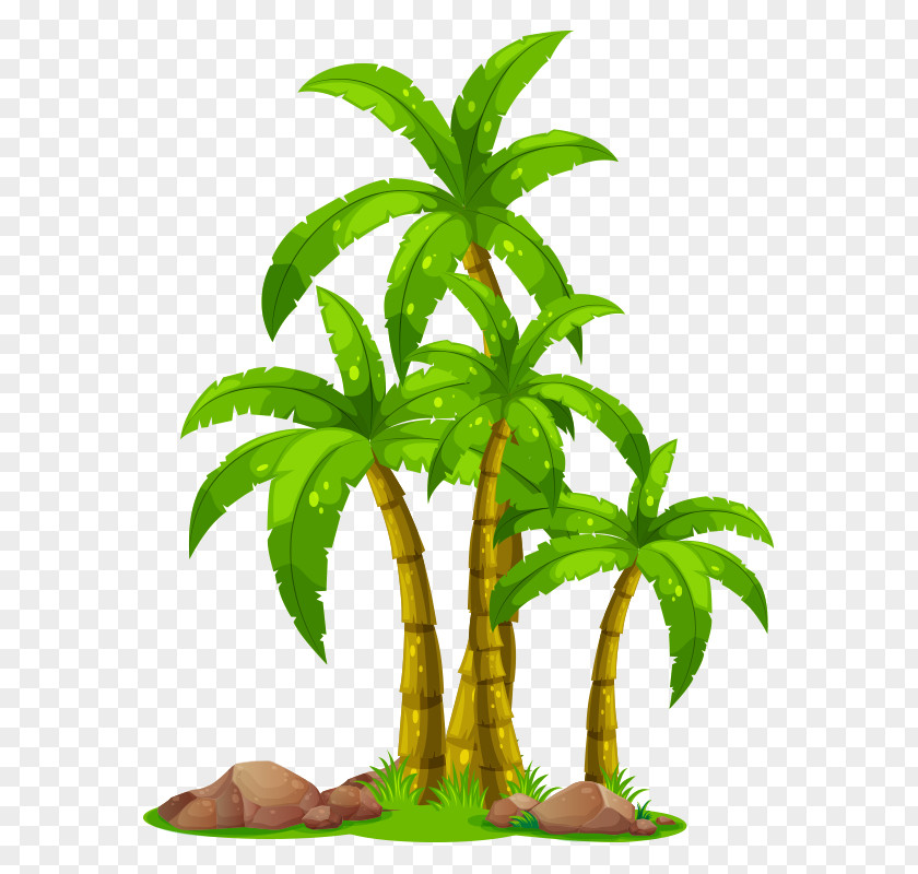 Tree PNG Tree,trees clipart PNG