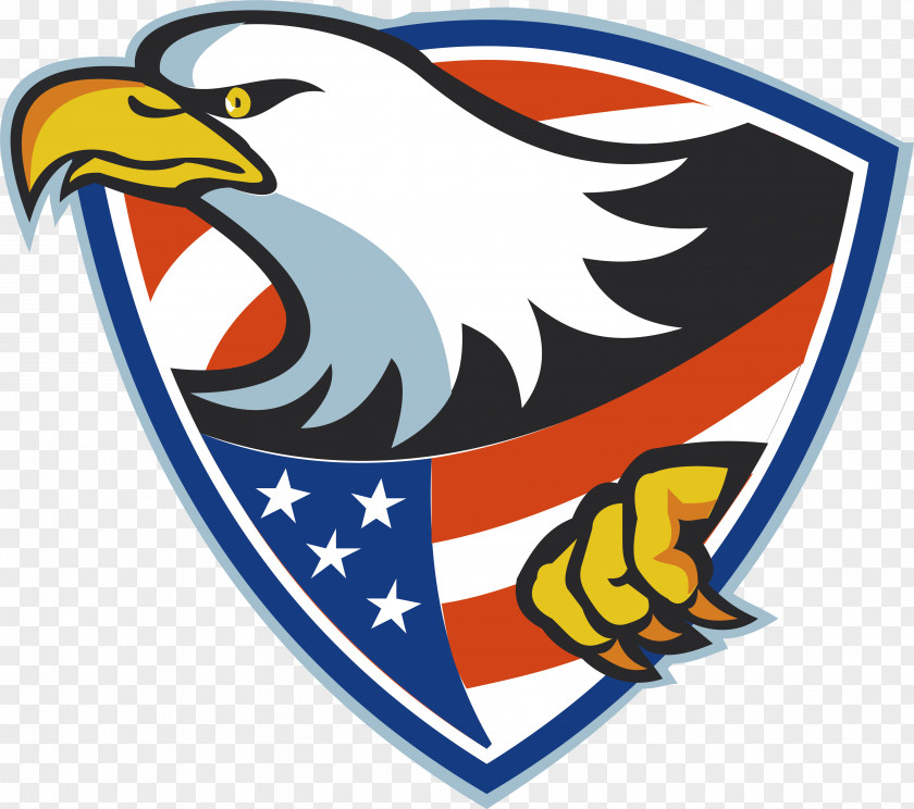 Flying Shield United States Bald Eagle Illustration PNG