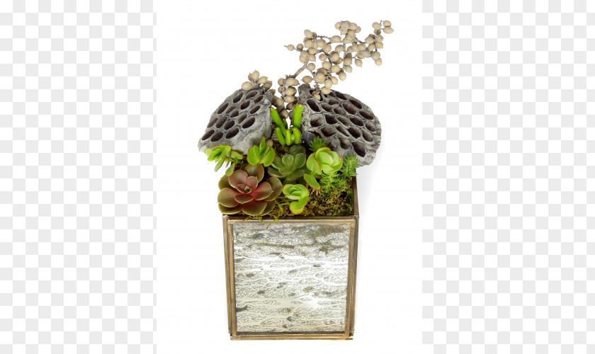 Glass Luludi Living Art Terrarium Garden Houseplant PNG