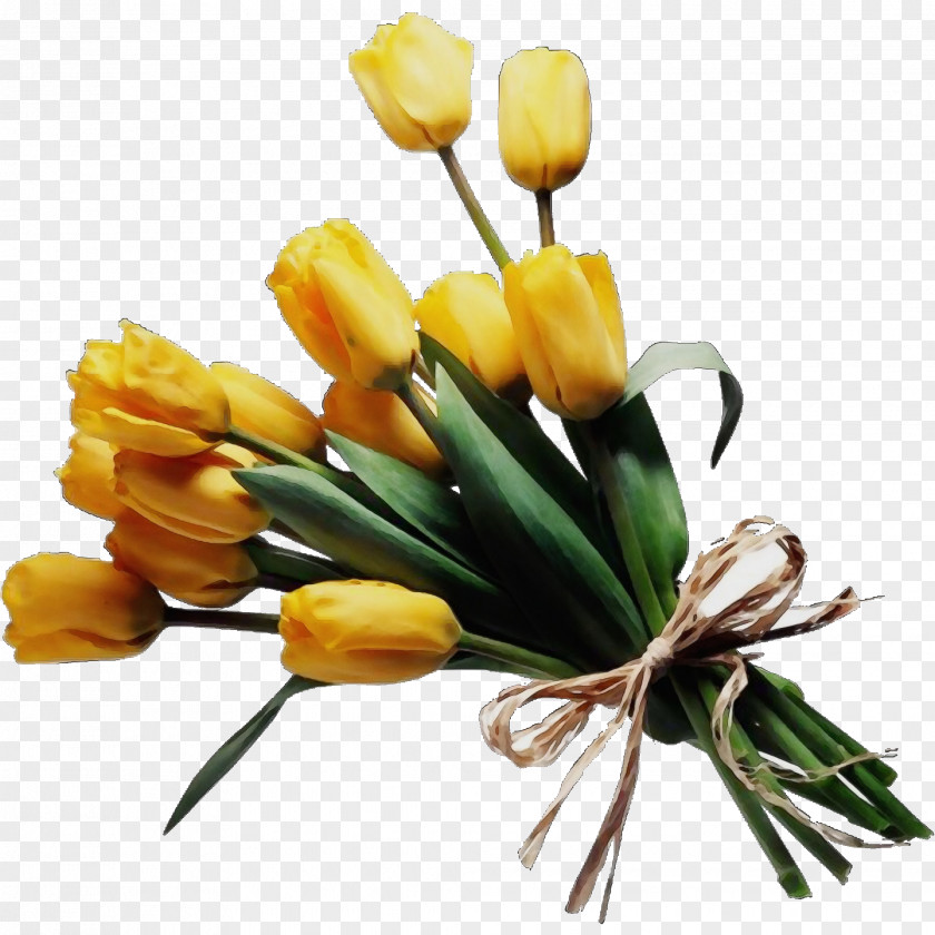 Petal Lily Family Artificial Flower PNG