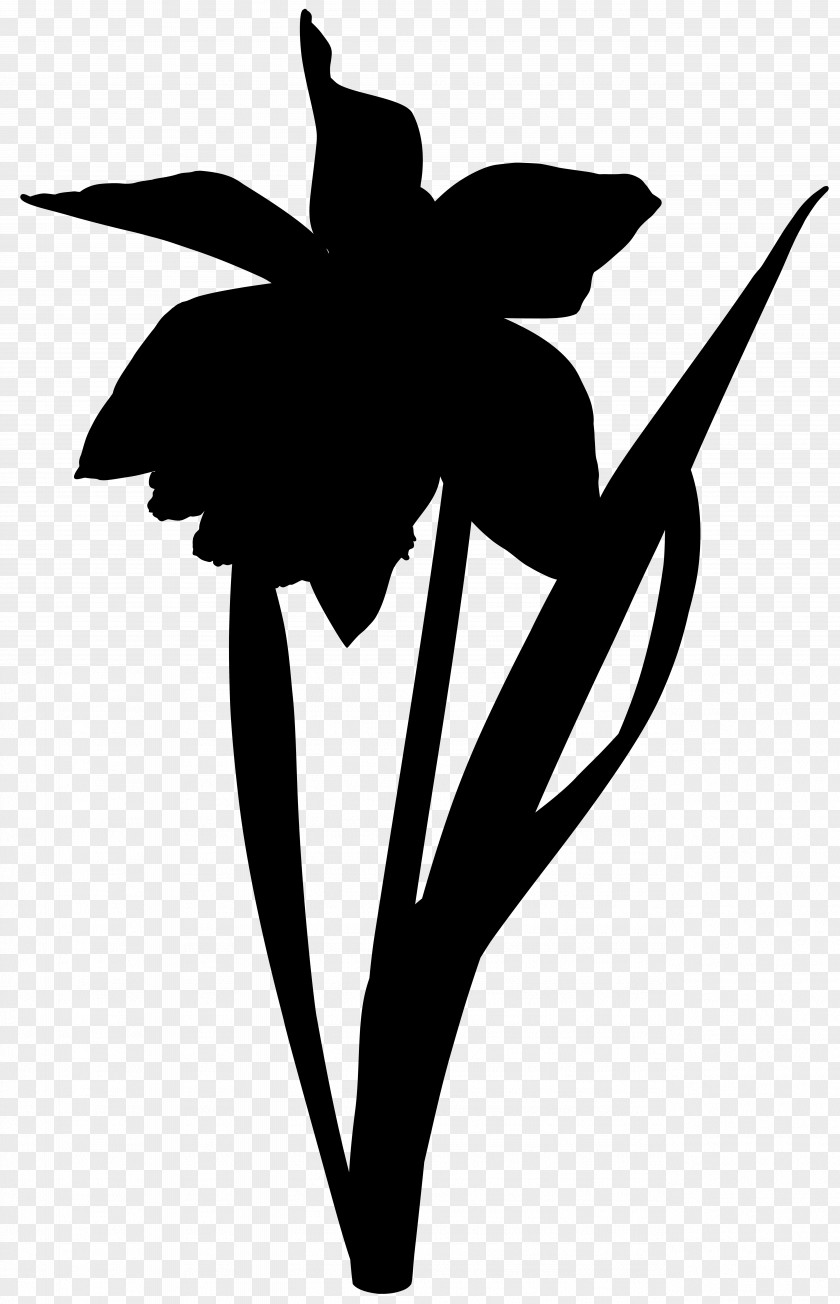 Clip Art Leaf Silhouette Line Plant Stem PNG