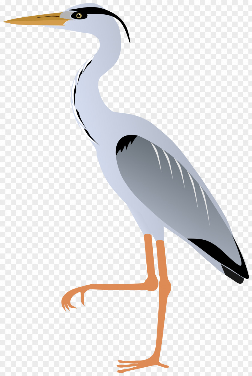 Crane Bird Grey Heron Great Egret Blue PNG