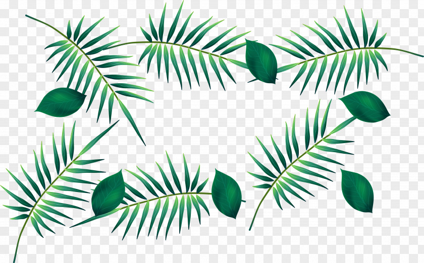 Drawing Vector Green Banana Leaf Watercolor Painting PNG