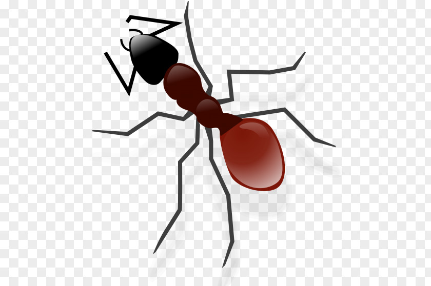 Fly Termite Ant Cartoon PNG