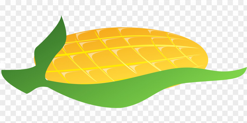 Golden Corn Maize Food Euclidean Vector Clip Art PNG