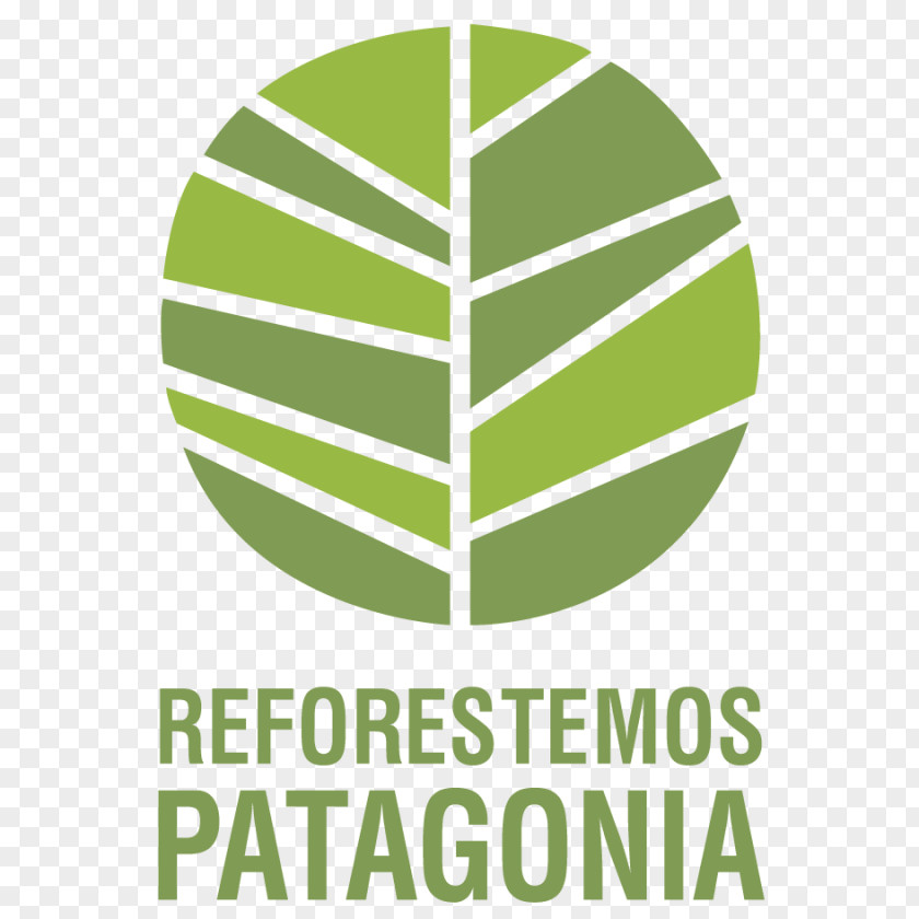 Mos Melipilla Patagonia Accommodation Reforestation Foundation PNG