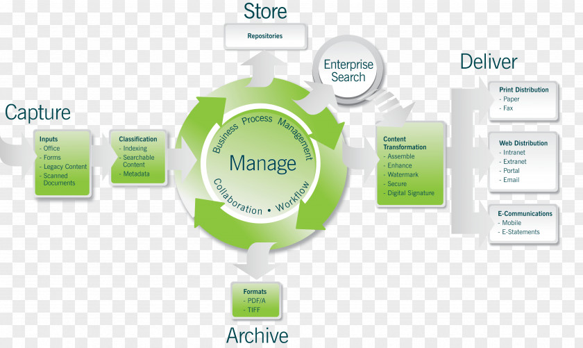 Software Development Lifecycle Paperless Office Digitization Document Management System Information PNG