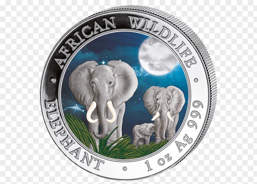 Variation Elephant Indian Coin Somalia African Elephantidae PNG