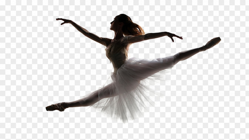 Ballet Wildwood Dancer Image PNG