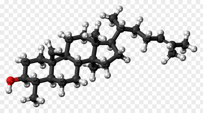 Health Cholesterol Allopregnanolone Neurosteroid High-density Lipoprotein PNG