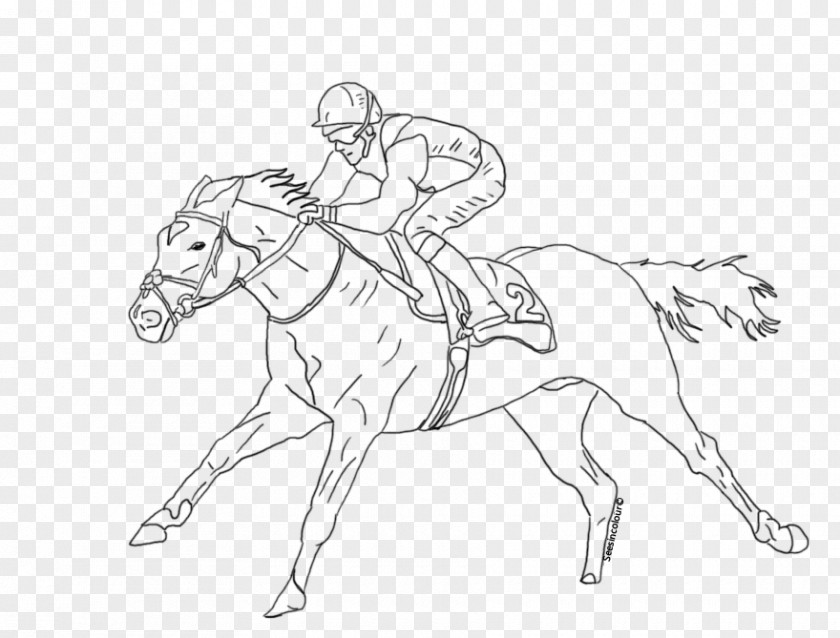 Horse Race Thoroughbred Racing Coloring Book Jockey PNG