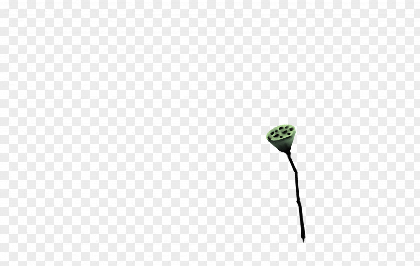 Lotus Creative Leaf Plant Stem Twig Flower Close-up PNG