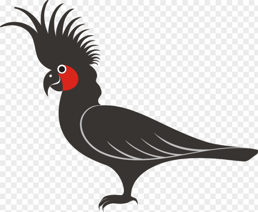 Silhouette Cockatoo Bird PNG