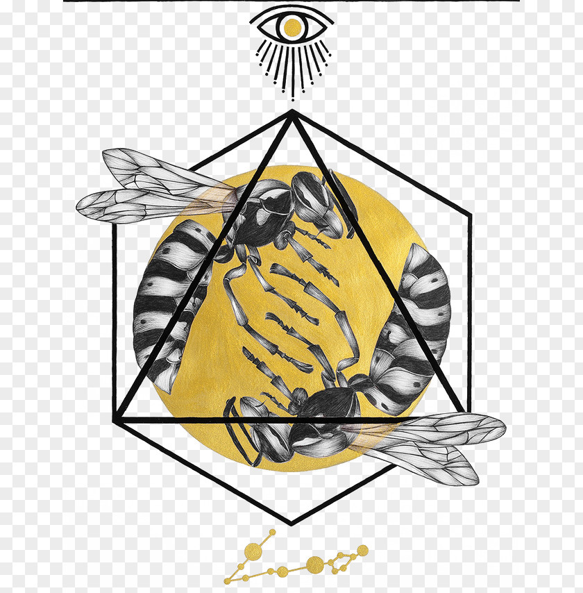 Bee Honey Illustrator Art Creative Work Illustration PNG